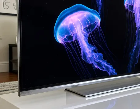 La tv oled con le sue immagini brillanti