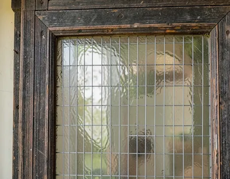 Porta di vetro retinato