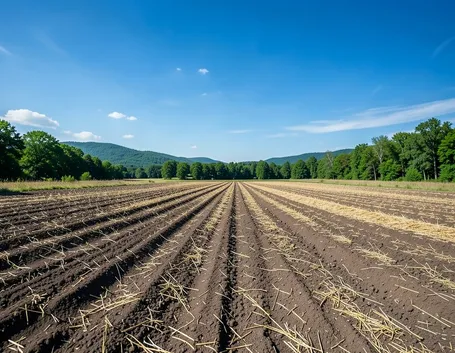 Un campo concimato
