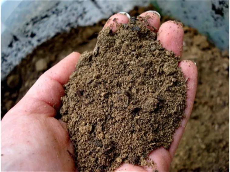 Terreno sabbioso caratteristiche