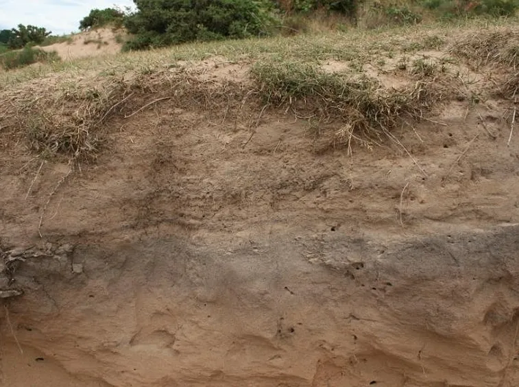 Terreno sabbioso esempio