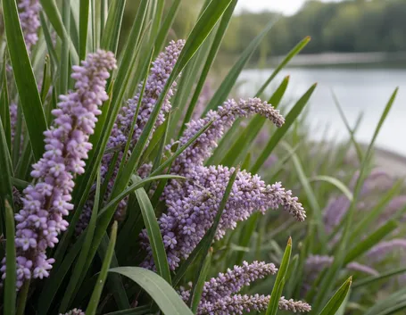 Giardino fiorito con lago naturale